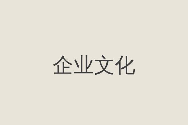 团队成员