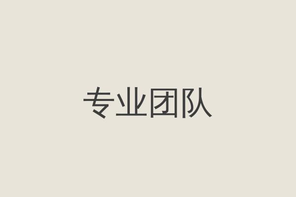 团队成员