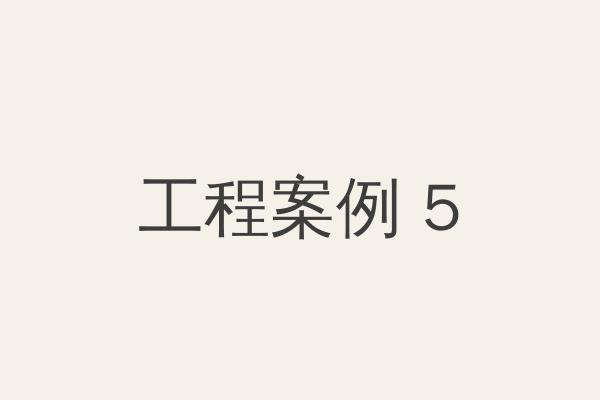 工程案例五